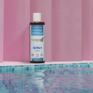 Shampoing Herbes Bio Cheveux Normaux - shampooing bio doux équilibre cuir chevelu cheveux normaux